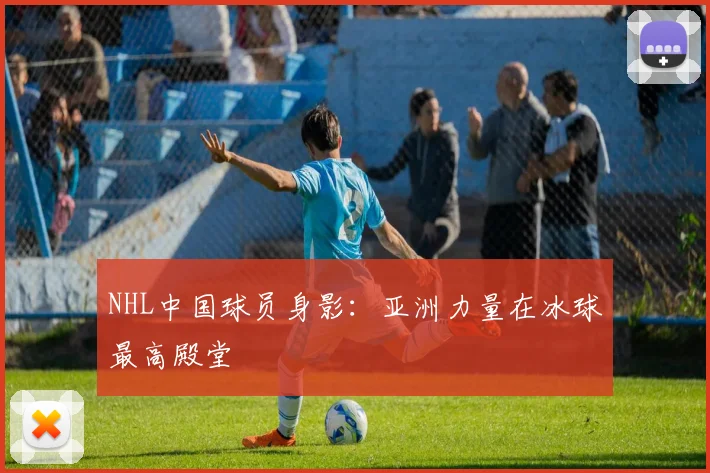 NHL中国球员身影：亚洲力量在冰球最高殿堂
