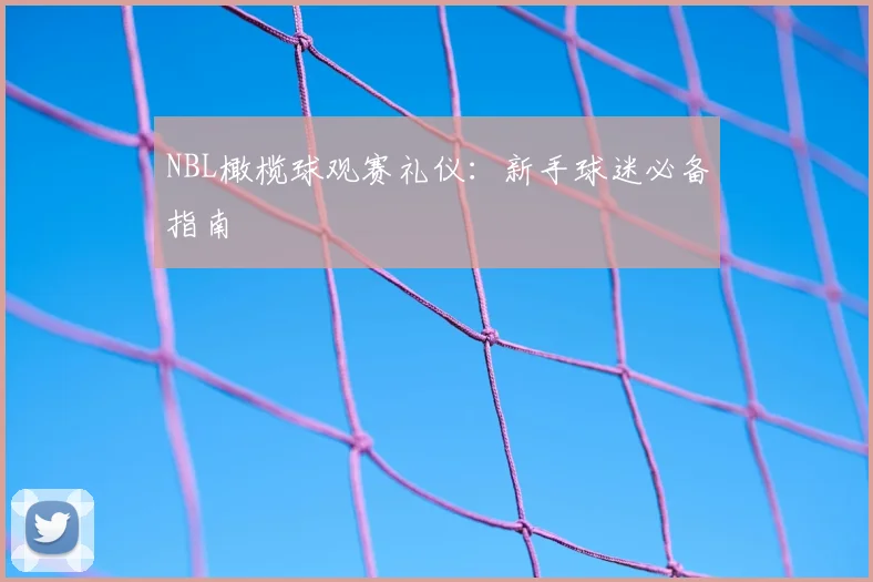 NBL橄榄球观赛礼仪:新手球迷必备指南