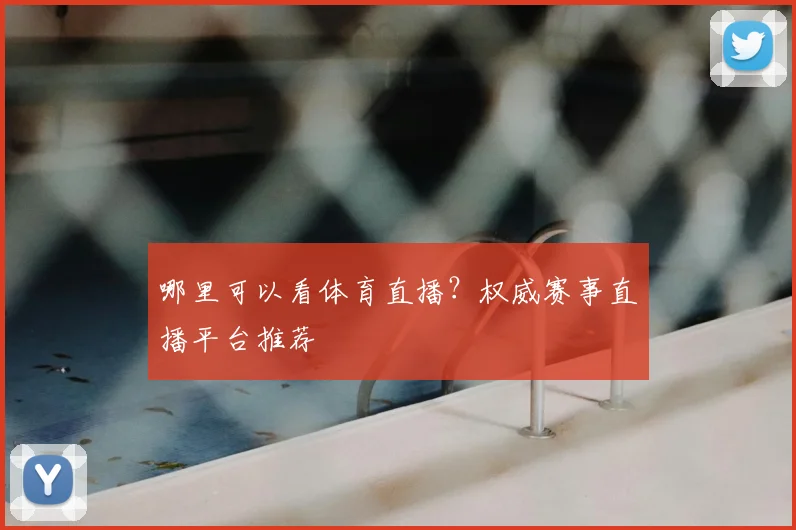 哪里可以看体育直播?权威赛事直播平台推荐
