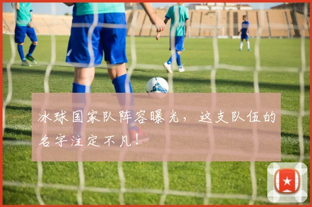 冰球国家队阵容曝光，这支队伍的名字注定不凡！