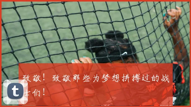 致敬!致敬那些为梦想拼搏过的战士们!