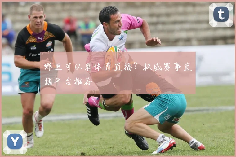 哪里可以看体育直播?权威赛事直播平台推荐