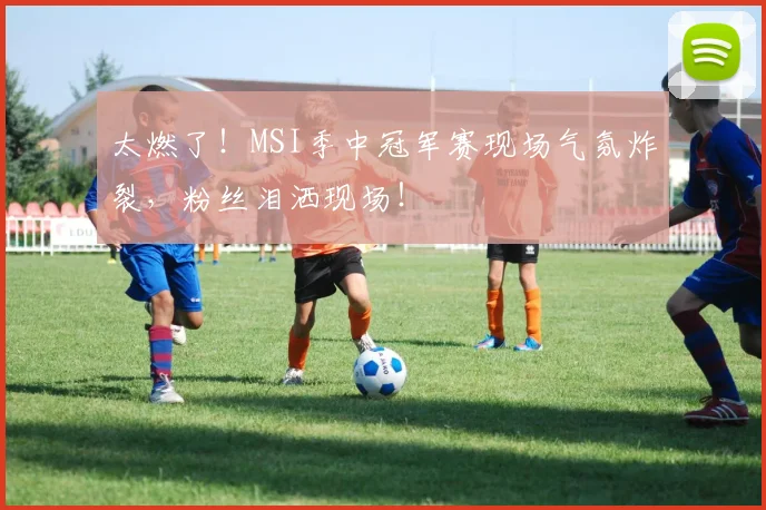 太燃了!MSI季中冠军赛现场气氛炸裂,粉丝泪洒现场!