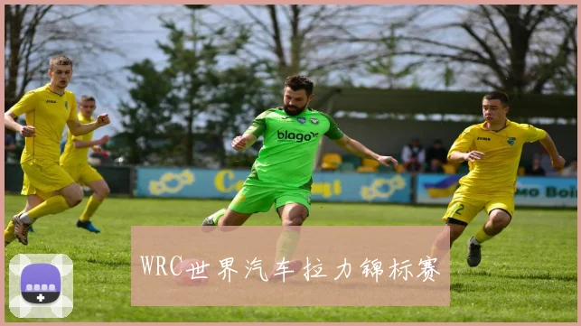 WRC世界汽车拉力锦标赛