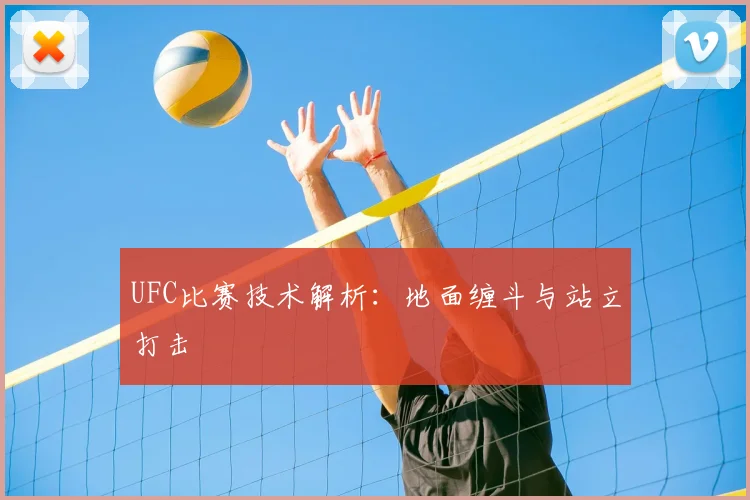 UFC比赛技术解析：地面缠斗与站立打击