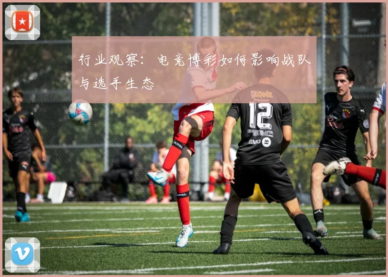 行业观察：电竞博彩如何影响战队与选手生态