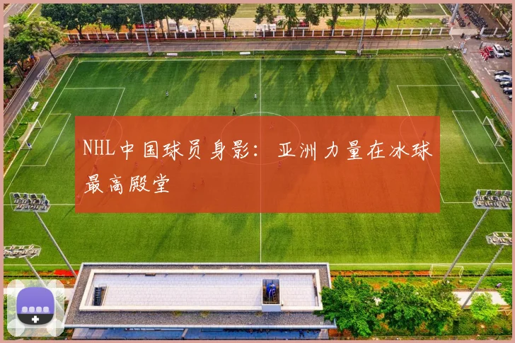 NHL中国球员身影：亚洲力量在冰球最高殿堂