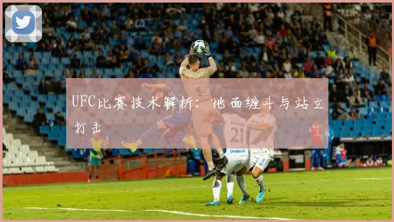 UFC比赛技术解析：地面缠斗与站立打击