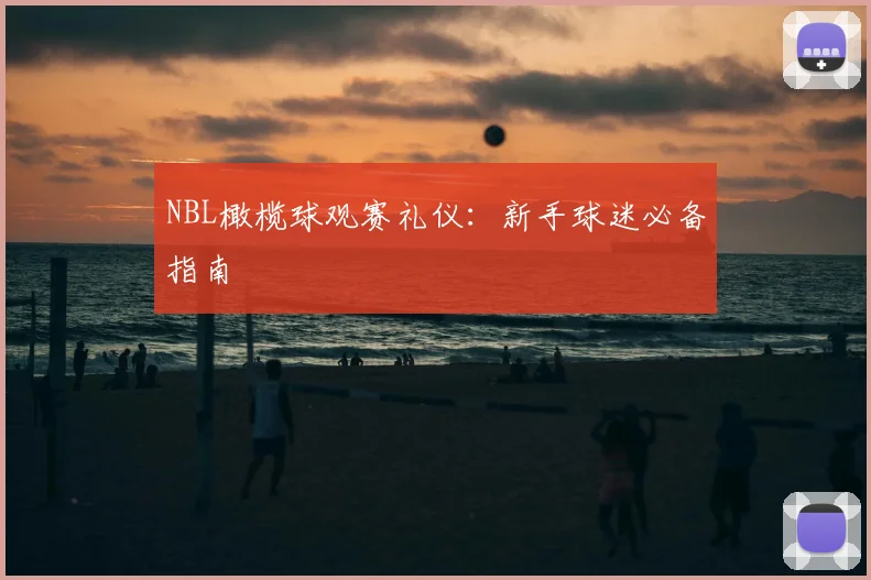 NBL橄榄球观赛礼仪：新手球迷必备指南